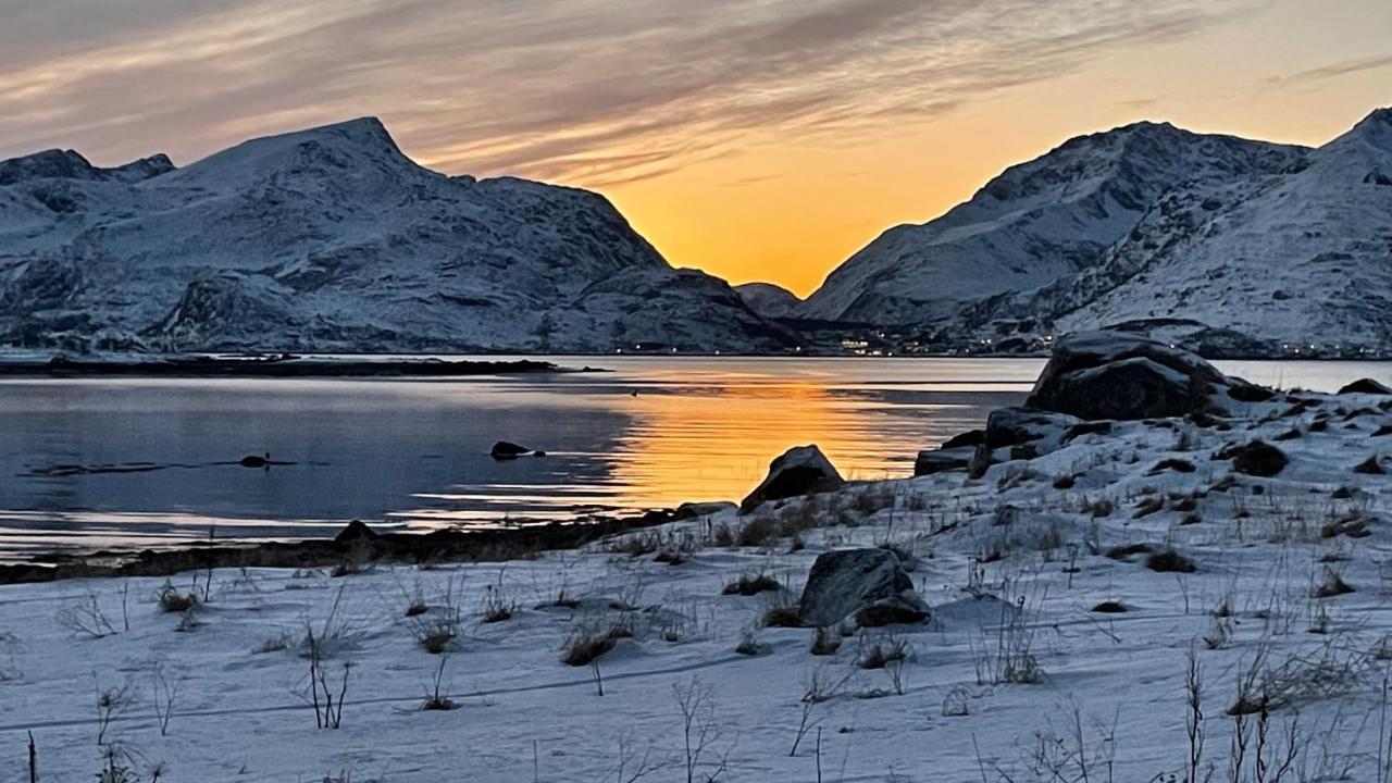 Lofoten Havfiske Leknes Exterior photo