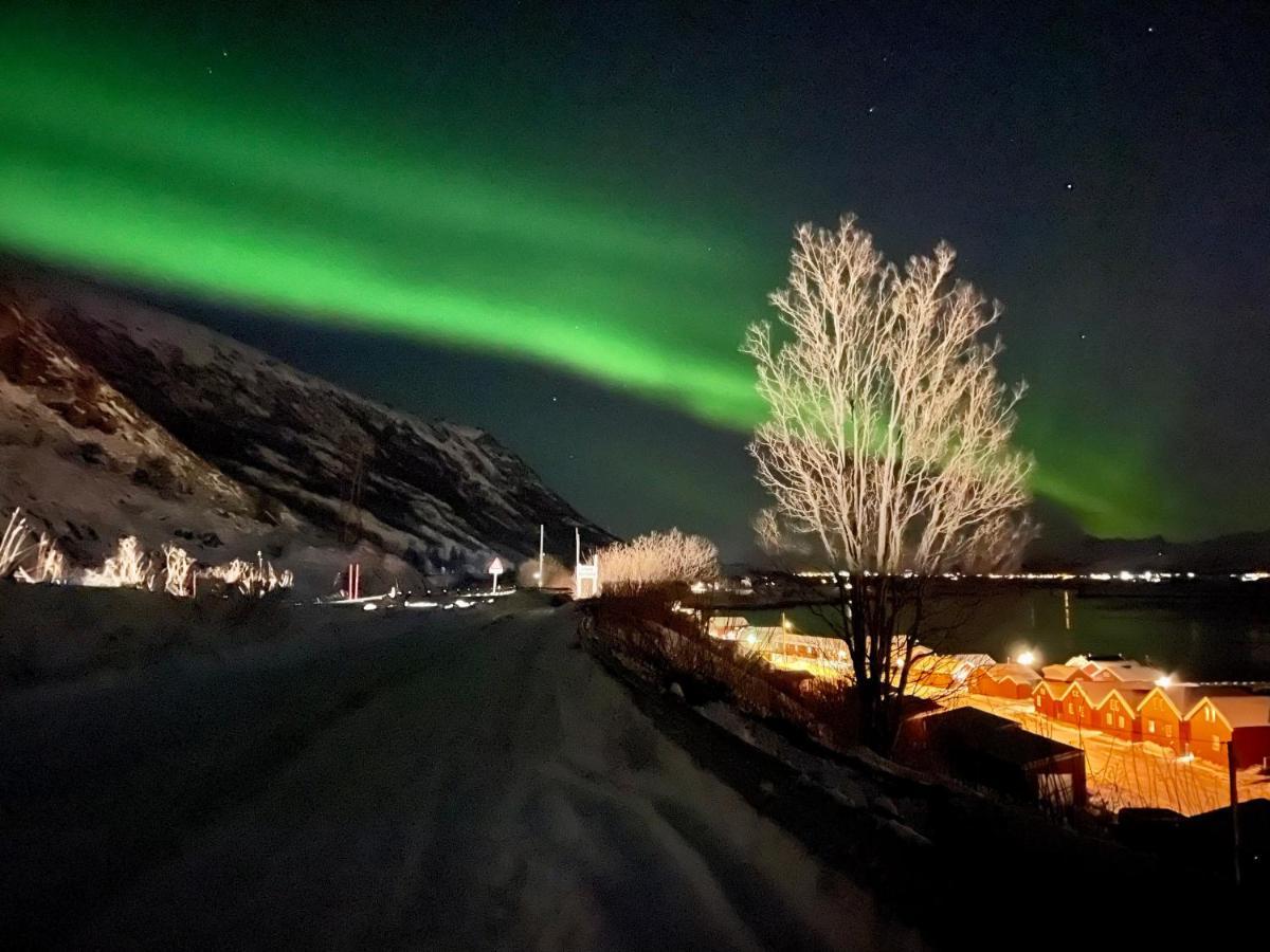 Lofoten Havfiske Leknes Exterior photo