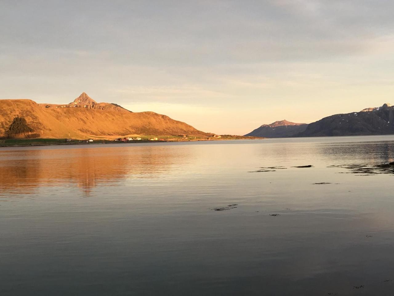 Lofoten Havfiske Leknes Exterior photo