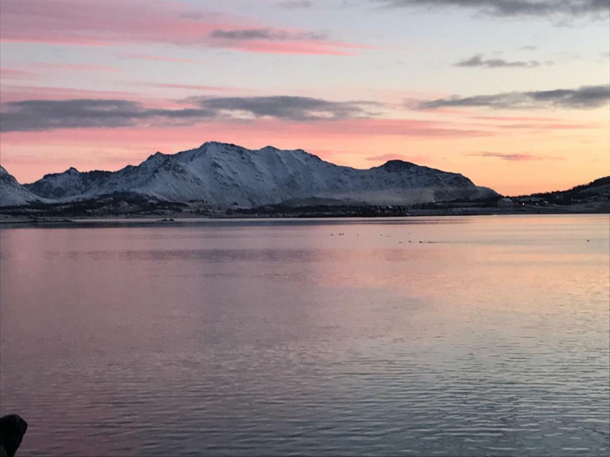 Lofoten Havfiske Leknes Exterior photo